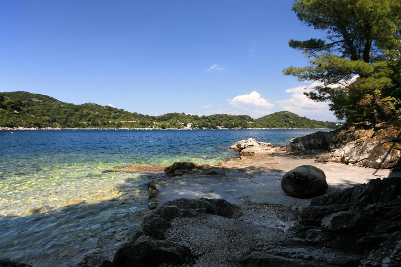 Apartments By The Sea Sobra, Mljet - 4908 Babino Polje Экстерьер фото